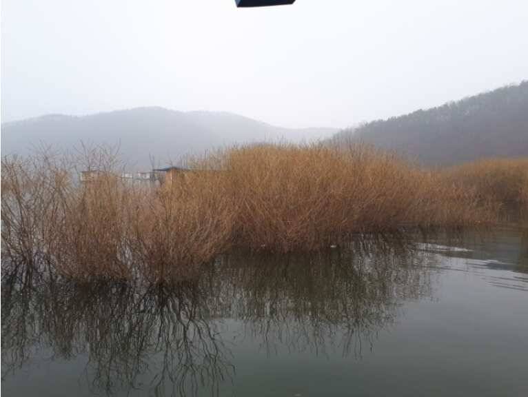 40cm 대물 송전지 관광집 조황 (유료터정보 - 유료터점주조황)