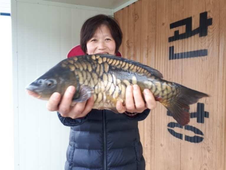 바람속에서 송전지 관광좌대 조황 (유료터정보 - 유료터점주조황)