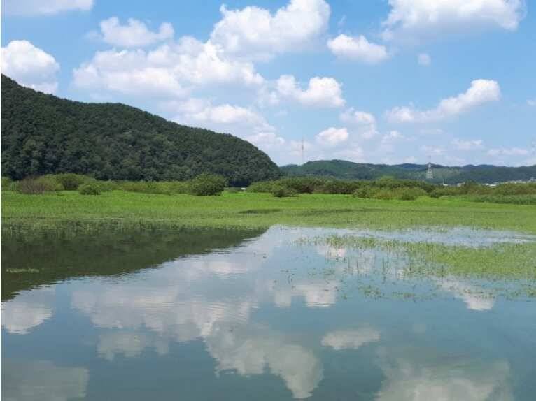 송전지 관광집 좌대 붕어 조황 (유료터정보 - 유료터점주조황)