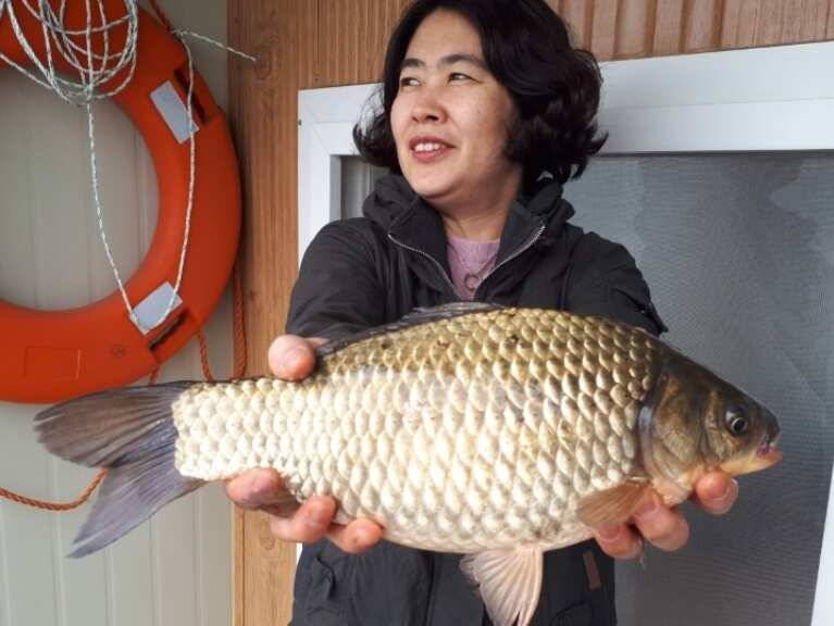 송전지 관광좌대 조황 (유료터정보 - 유료터점주조황)