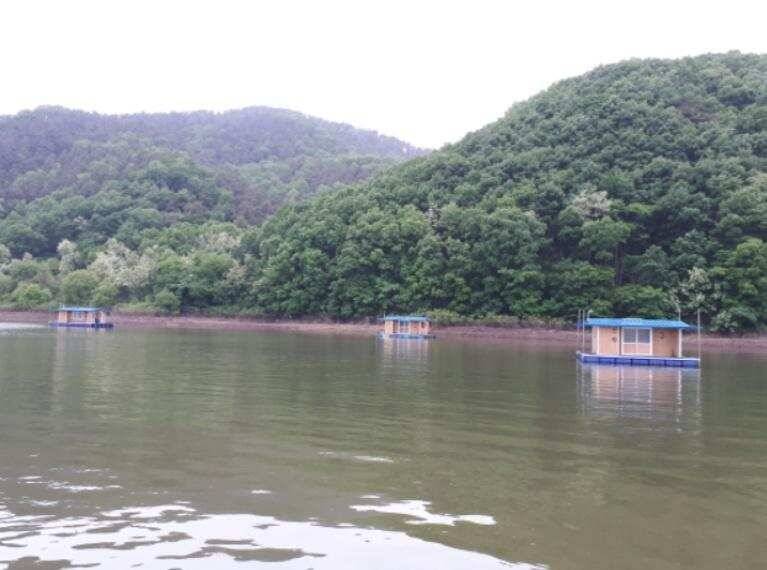 송전지 좌대 관광집 조황 (유료터정보 - 유료터점주조황)