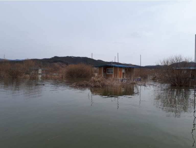 대물들이 올라오기 송전지 관광집 조황 (유료터정보 - 유료터점주조황)