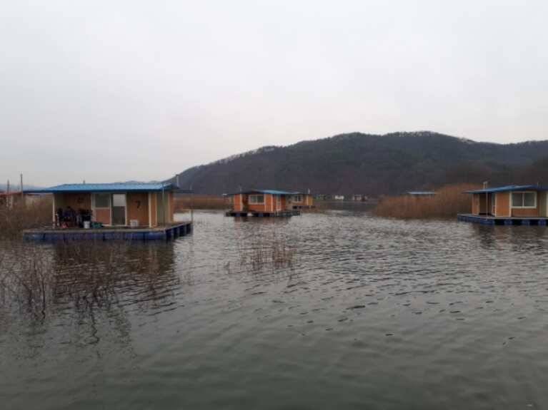 허리급 붕어 송전지 관광좌대 붕어 조황 (유료터정보 - 유료터점주조황)