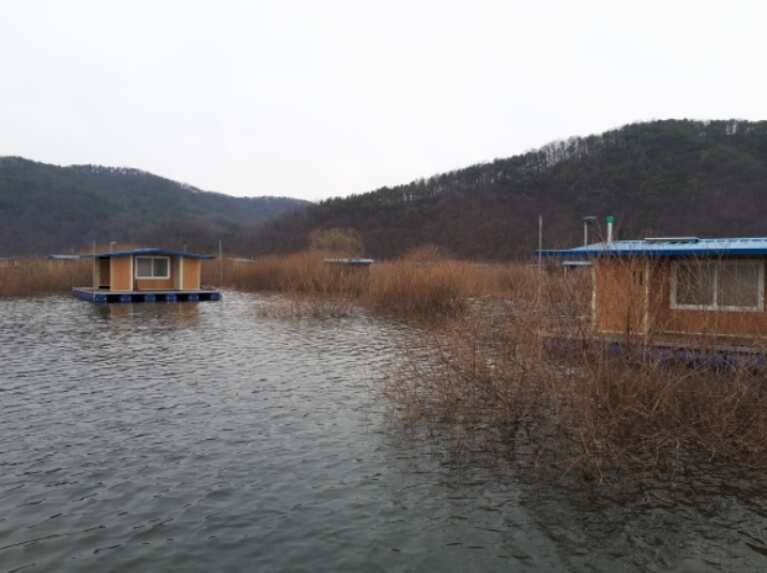 허리급 붕어 송전지 관광좌대 붕어 조황 (유료터정보 - 유료터점주조황)