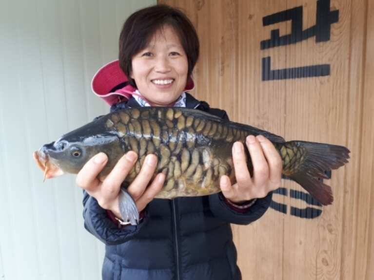 바람속에서 송전지 관광좌대 조황 (유료터정보 - 유료터점주조황)