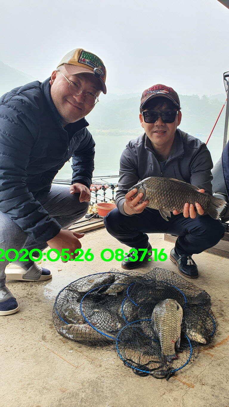 신원낚시터 6월10일 토종대물 덩어리들 사진입니다 (유료터정보 - 유료터점주조황)