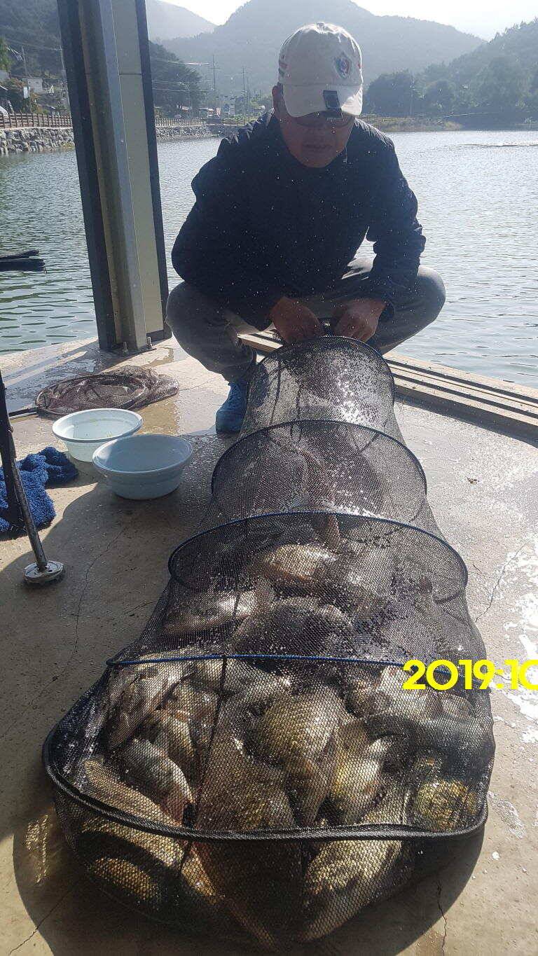용인 신원낚시터 토종대물48짜리 구경하고 가시겠습니다 (유료터정보 - 유료터점주조황)