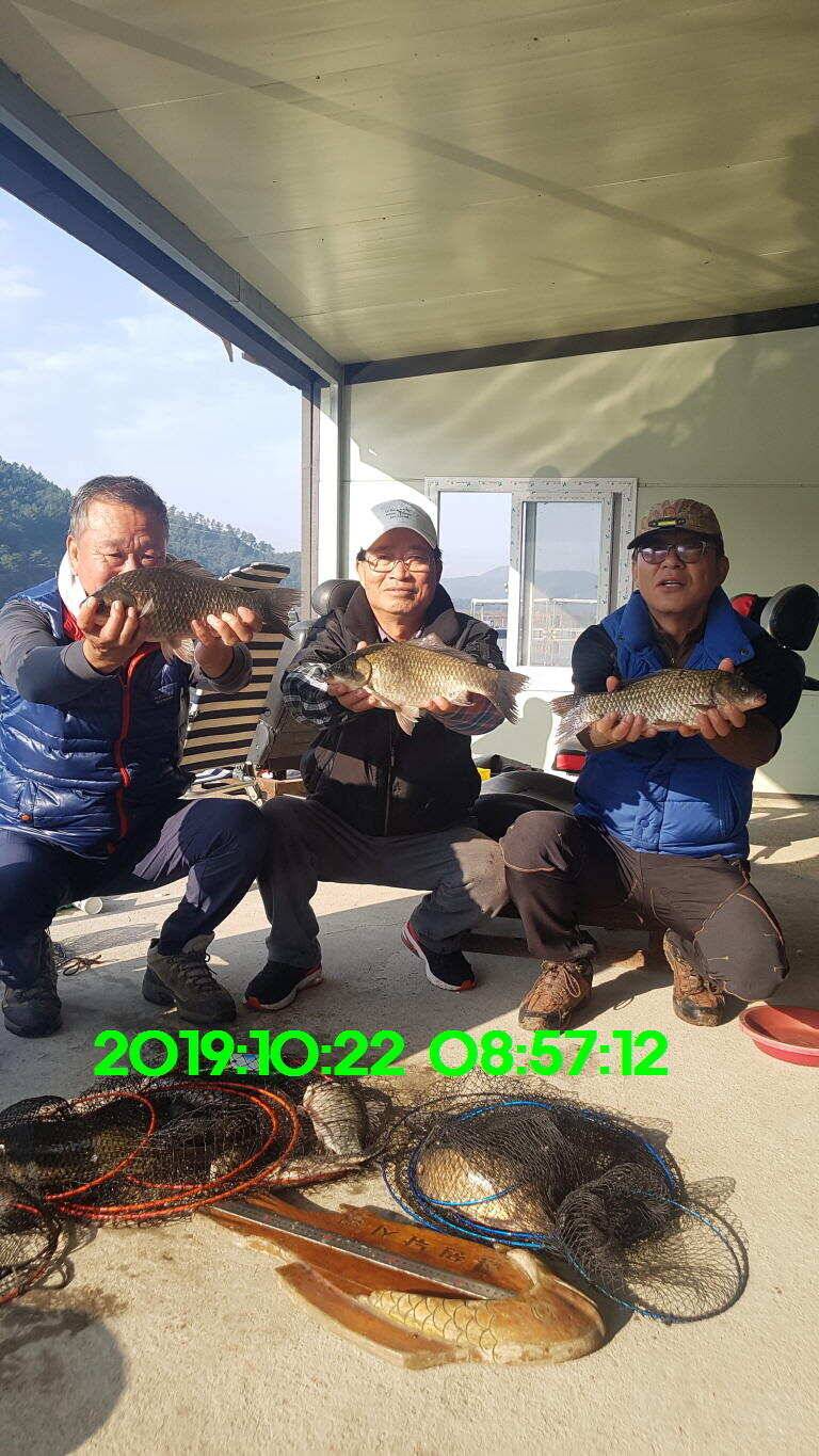신원낚시터 토종48짜리가 또다시 나와주네요 (유료터정보 - 유료터점주조황)