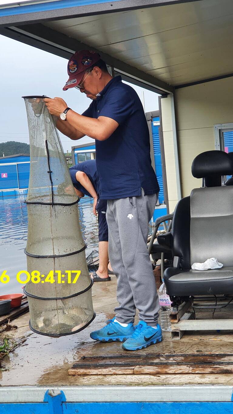 신원낚시터 8월16일 토종붕어 4짜와 덩어리 사진입니다 (유료터정보 - 유료터점주조황)