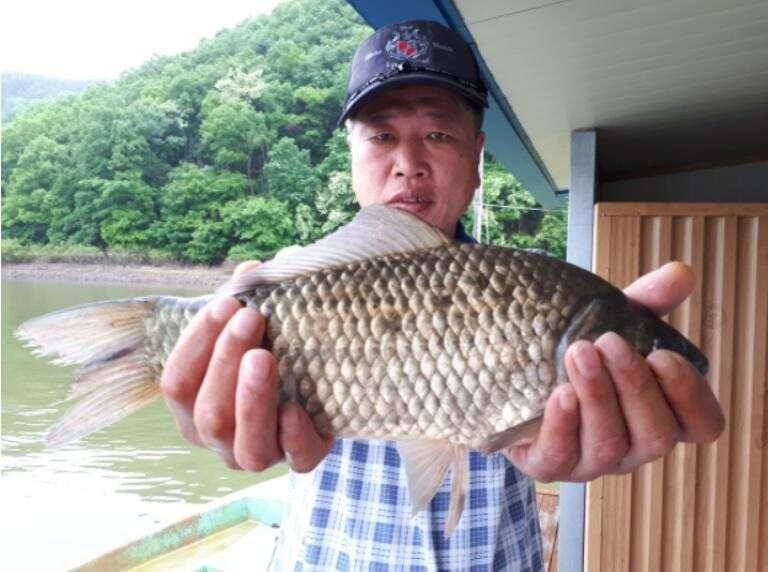 송전지 좌대 관광집 조황 (유료터정보 - 유료터점주조황)
