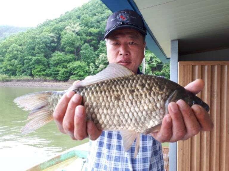 송전지 좌대 관광집 조황 (유료터정보 - 유료터점주조황)