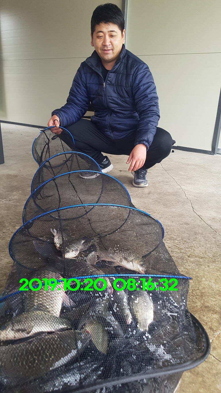 신원낚시터 10월21일 토종 49센티 붕어 구경하시고 가시겠습니다 (유료터정보 - 유료터점주조황)