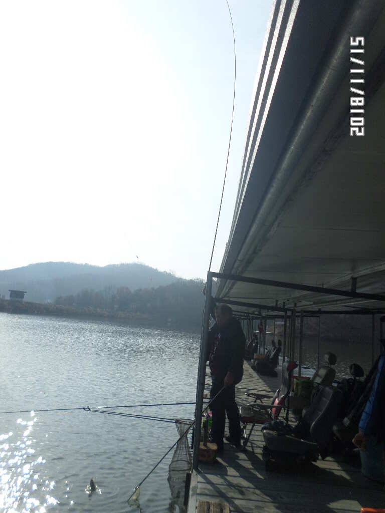아산신수지 11월 셋째 주중 화보입니다 (유료터정보 - 유료터점주조황)