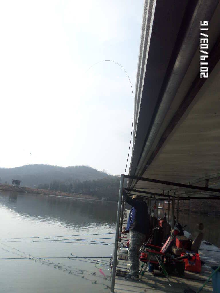 아산신수지 3월 셋째 주말 화보입니다 (유료터정보 - 유료터점주조황)