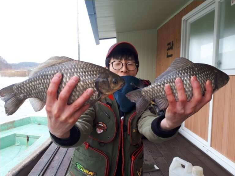 대물들이 올라오기 송전지 관광집 조황 (유료터정보 - 유료터점주조황)