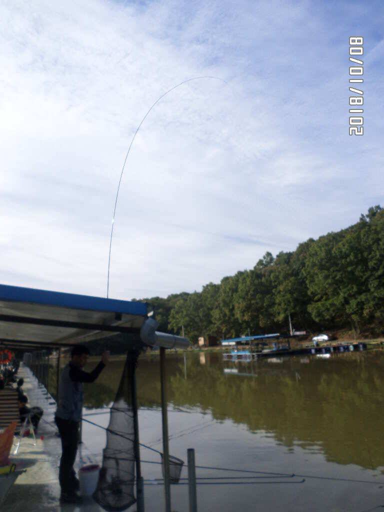 fish_pay_3e3e2_075146_56686.jpg