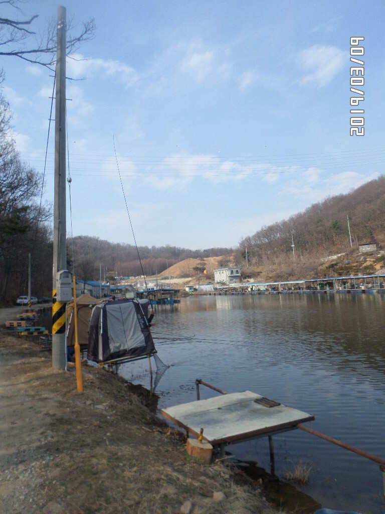 아산신수지 3월 둘째 주말 화보입니다 (유료터정보 - 유료터점주조황)