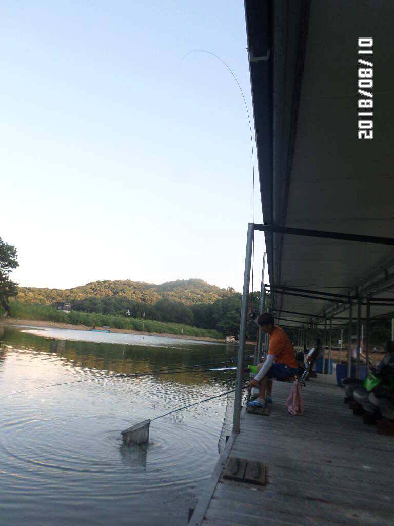 아산신수지 8월 둘째 주말 화보입니다 (유료터정보 - 유료터점주조황)
