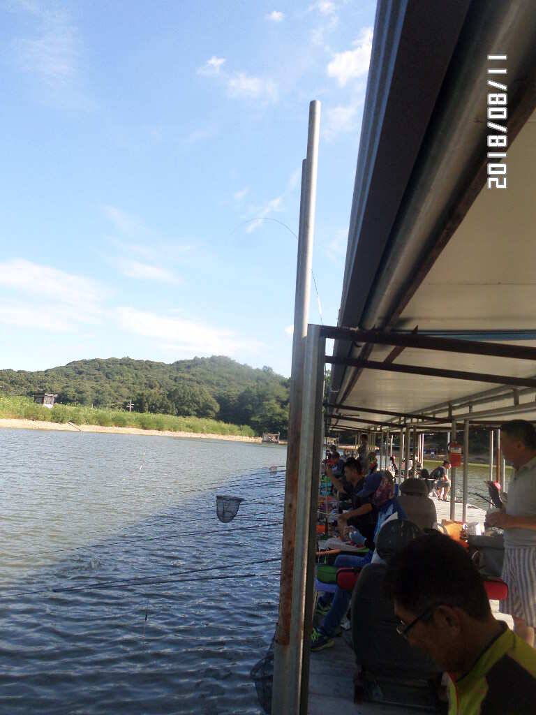 아산신수지 8월 둘째 주말 화보입니다 (유료터정보 - 유료터점주조황)