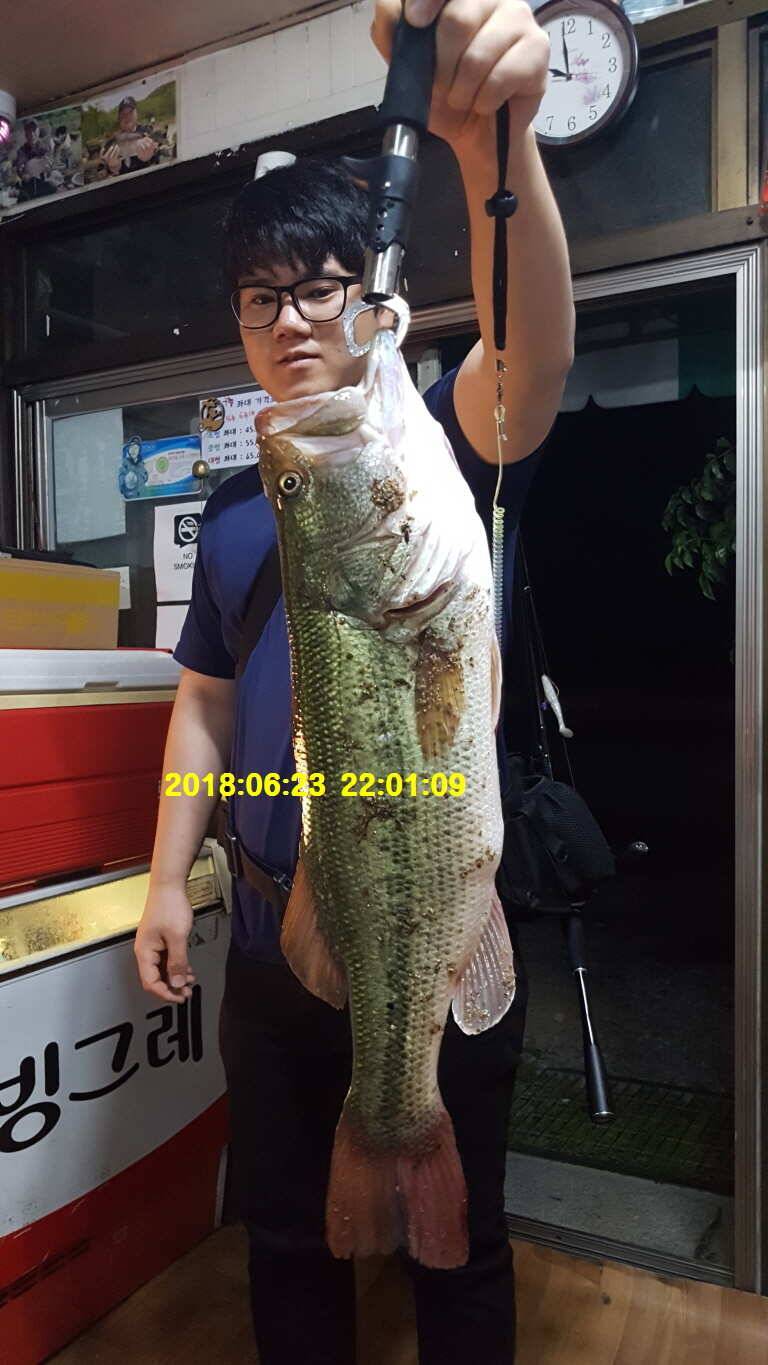신원낚시터 6월 29일 조황소식입니다 (유료터정보 - 유료터점주조황)