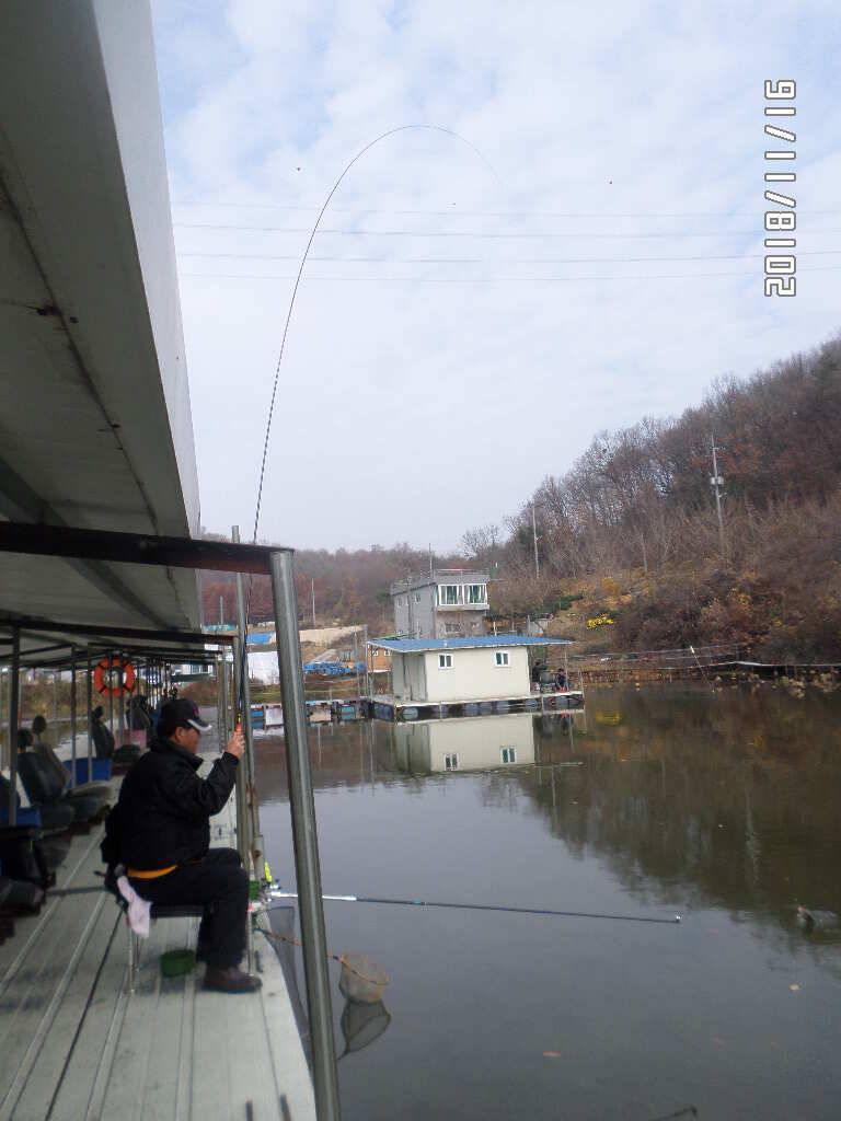아산신수지 11월 셋째 주말 화보입니다 (유료터정보 - 유료터점주조황)