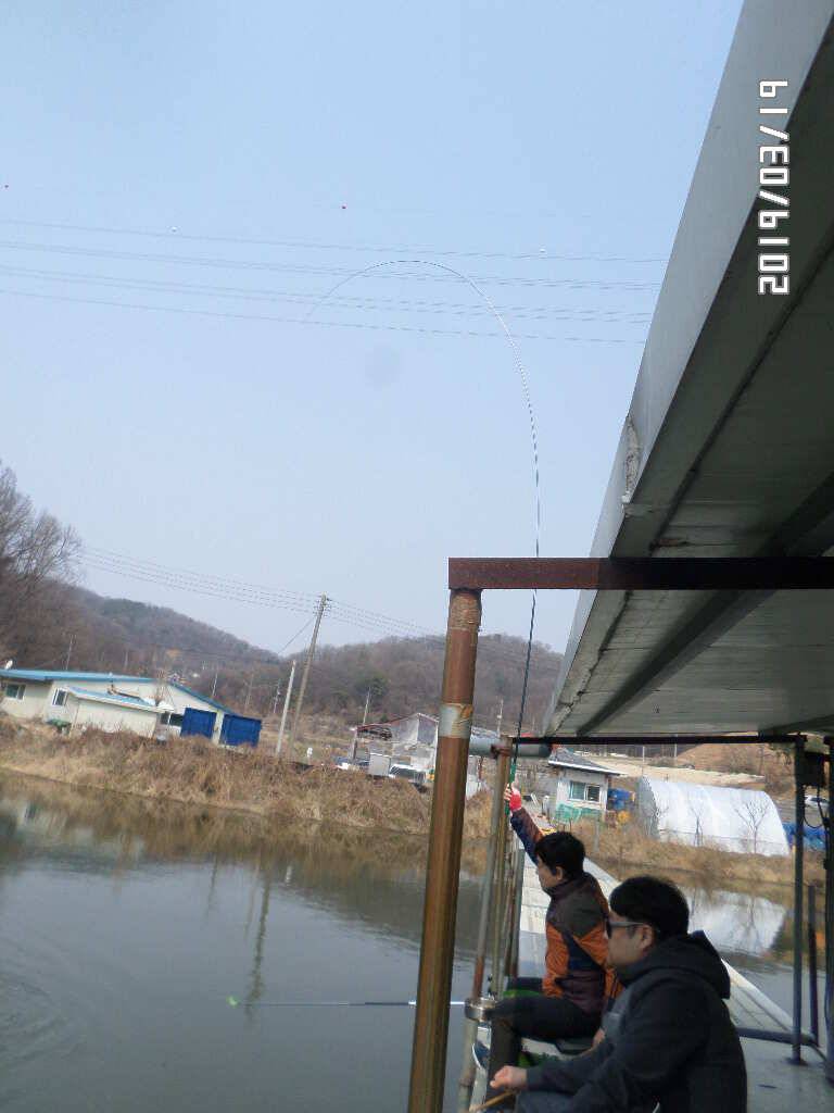 아산신수지 3월 넷째 주초 화보입니다 (유료터정보 - 유료터점주조황)
