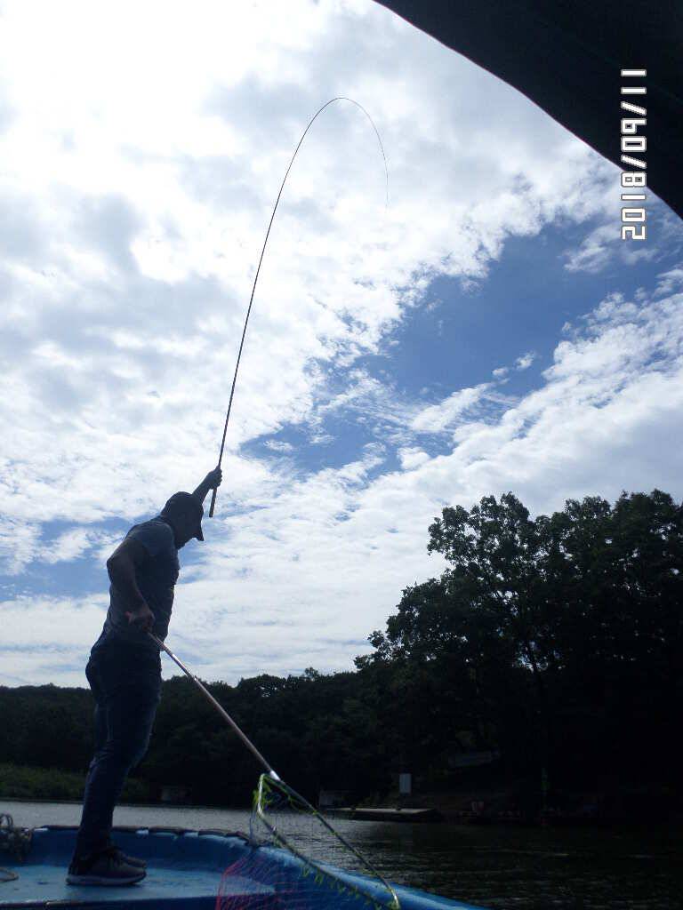 fish_pay_d2dad_030931_74127.jpg