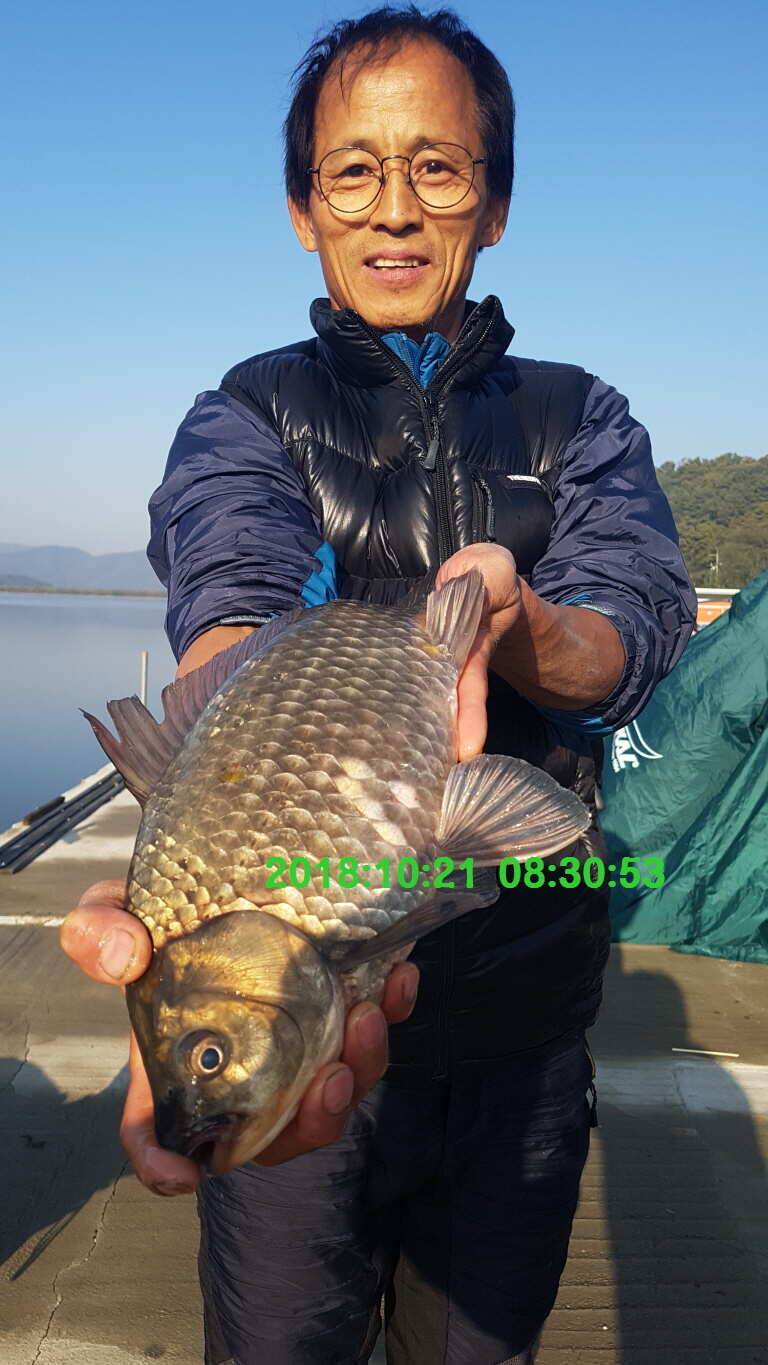 신원낚시터 10월 셋쨋주 조황 소식입니다 (유료터정보 - 유료터점주조황)