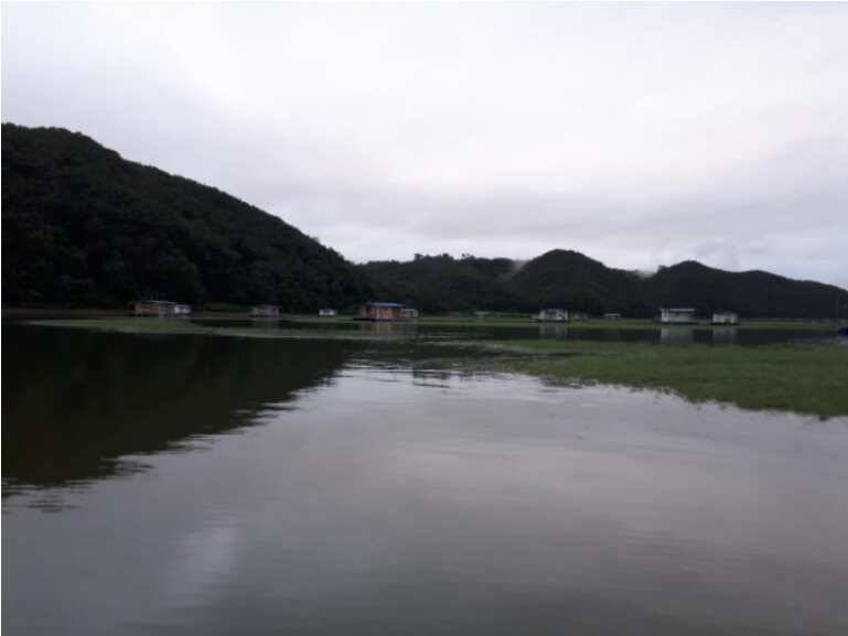 송전지 관광좌대 붕어 조황 (유료터정보 - 유료터점주조황)