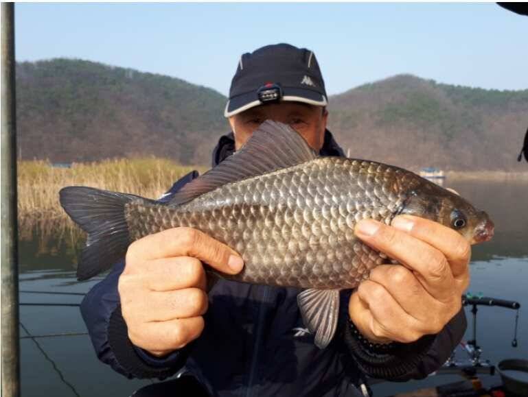 드디어 비비기 시작 송전지 관광집 조황 (유료터정보 - 유료터점주조황)