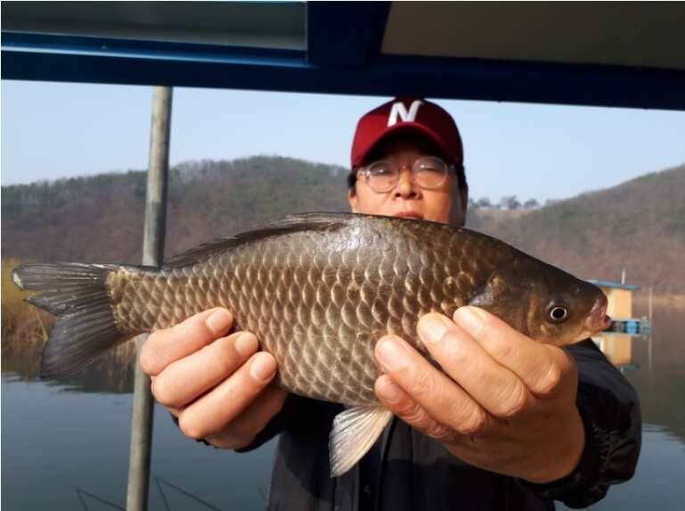 드디어 비비기 시작 송전지 관광집 조황 (유료터정보 - 유료터점주조황)
