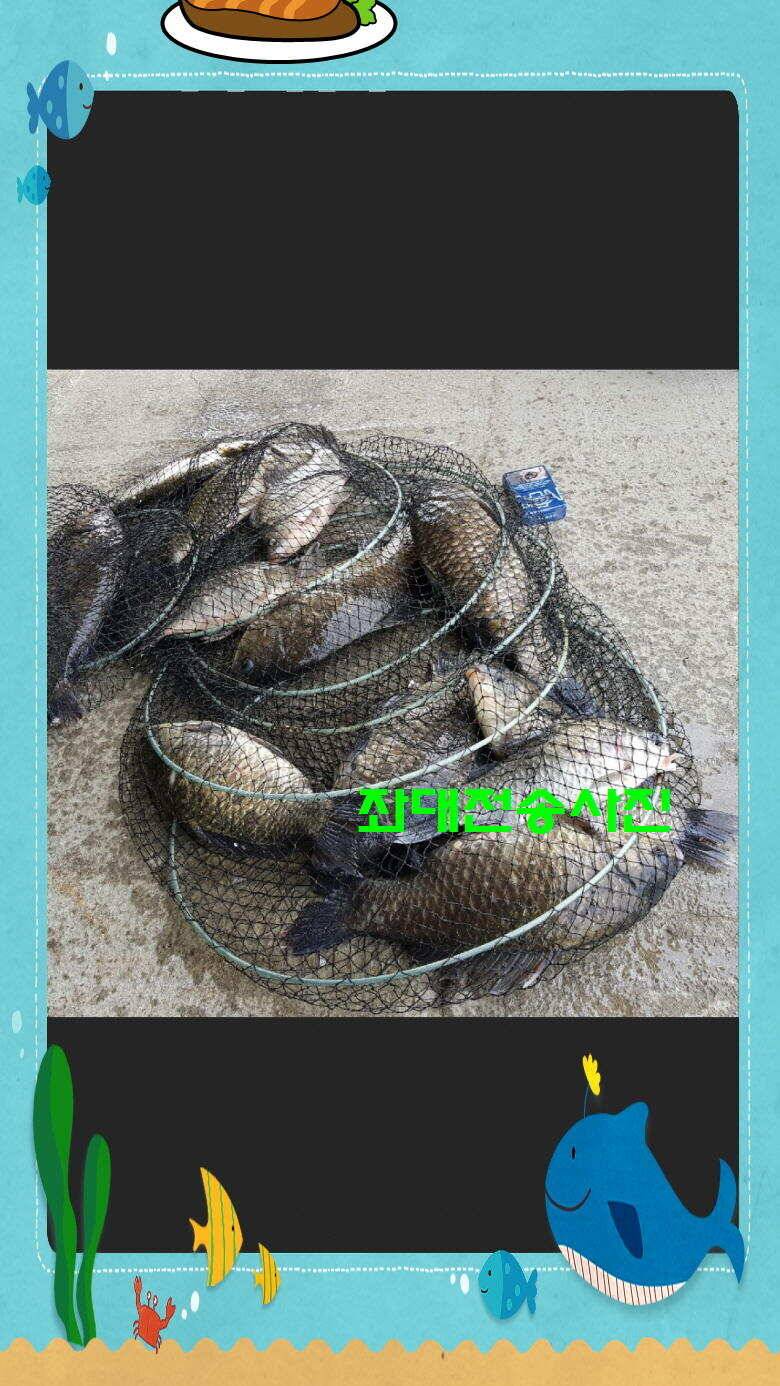신원낚시터 토종대물 4짜 소식입니다 (유료터정보 - 유료터점주조황)