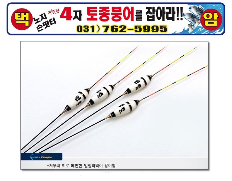 택암낚시터 5월1314일 주말조황 (유료터정보 - 유료터점주조황)