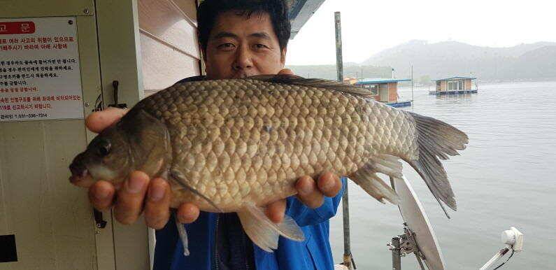 41cm 대물포인트 송전지 수원좌대 (유료터정보 - 유료터점주조황)