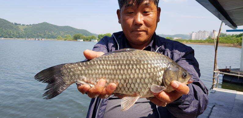 43cm 연일 대물터져 송전지 수원좌대 (유료터정보 - 유료터점주조황)