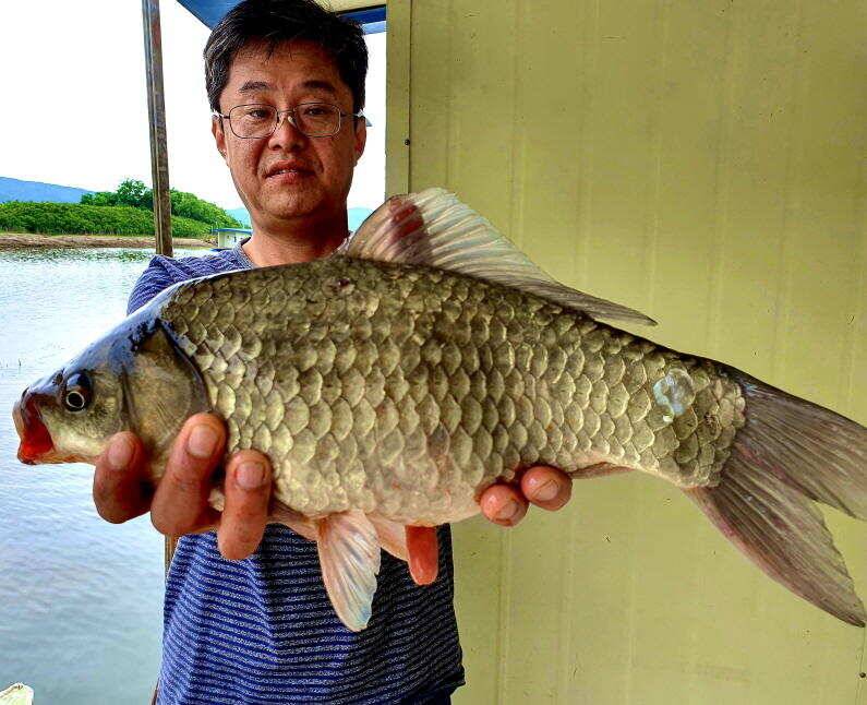 6월의 시작 42cm 405cm 대물 붕어로 송전지 미성집 좌대 (유료터정보 - 유료터점주조황)