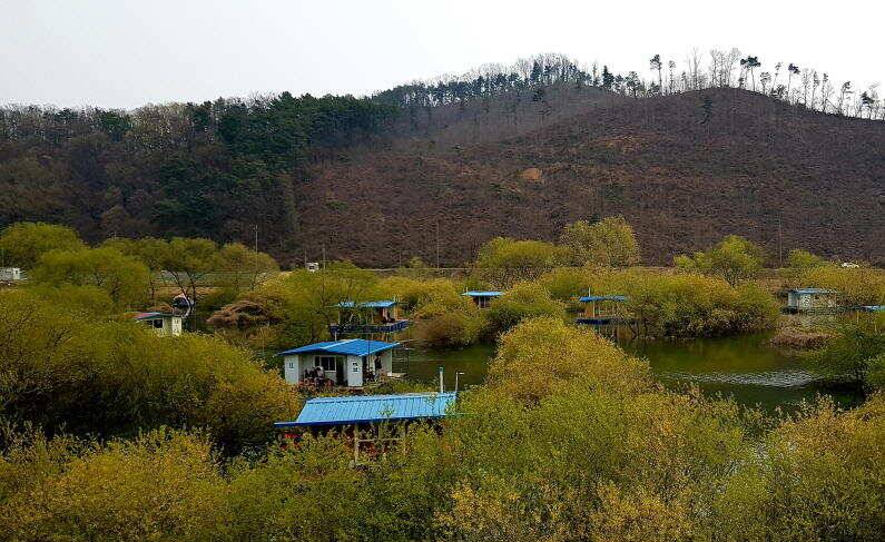 4짜 퍼레이드 송전지 미성집 좌대 (유료터정보 - 유료터점주조황)