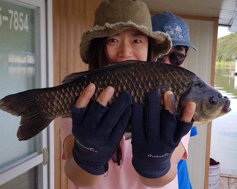 하루에 4짜 두마리 (유료터정보 - 유료터점주조황)