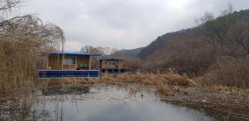 3월 시작은 4짜 대물 붕어로 송전지 미성집 좌대 (유료터정보 - 유료터점주조황)