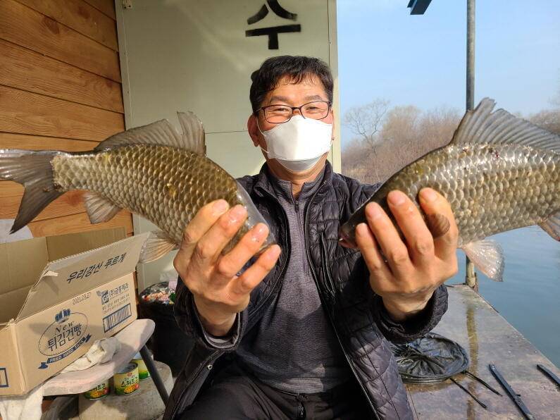 덜커덩 4짜 대물 마릿수의 조황이 이어지고 있는 수원좌대 (유료터정보 - 유료터점주조황)