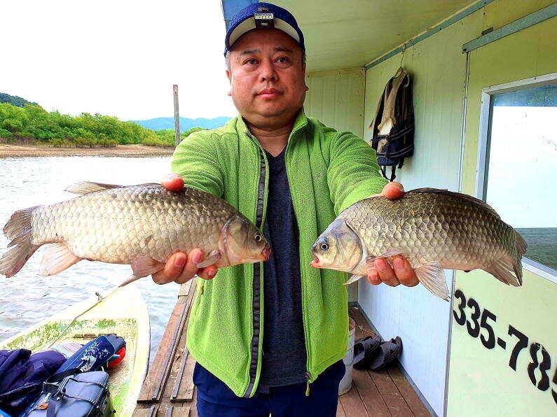6월의 시작 42cm 405cm 대물 붕어로 송전지 미성집 좌대 (유료터정보 - 유료터점주조황)