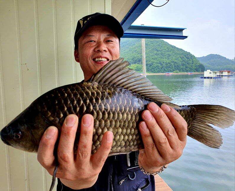 꾸준한 조황을 보이는 송전지 미성집 좌대 (유료터정보 - 유료터점주조황)