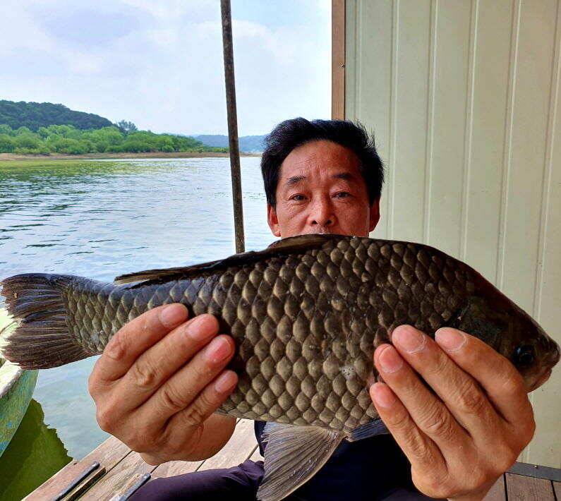 6월의 4짜 대물 송전지 미성집 좌대 (유료터정보 - 유료터점주조황)