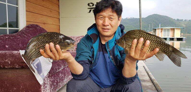 43cm 연일 대물터져 송전지 수원좌대 (유료터정보 - 유료터점주조황)