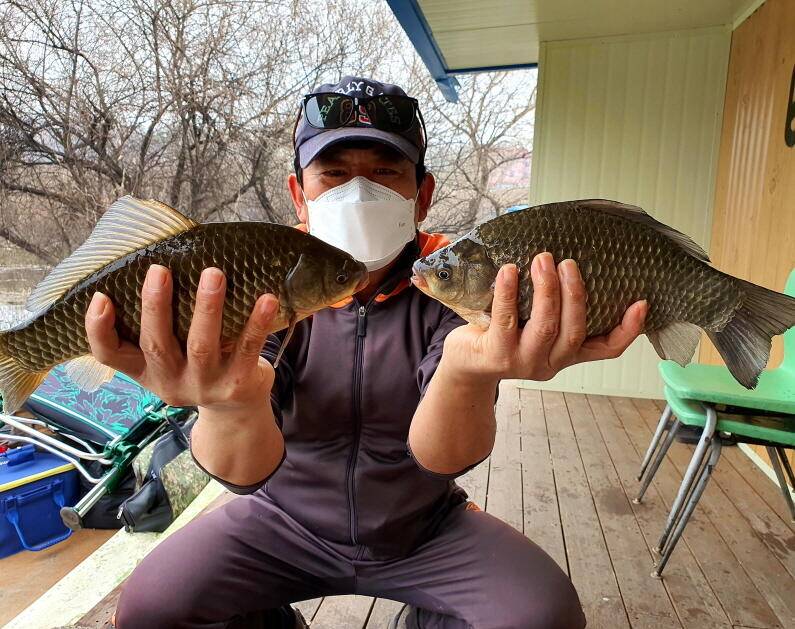 4짜 대물과 허리급 마릿수 조황 굿 (유료터정보 - 유료터점주조황)
