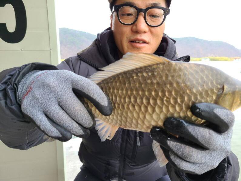 사짜대물 조황 송전지 수원좌대 (유료터정보 - 유료터점주조황)