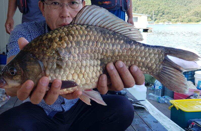 하루에 4짜 두마리 (유료터정보 - 유료터점주조황)