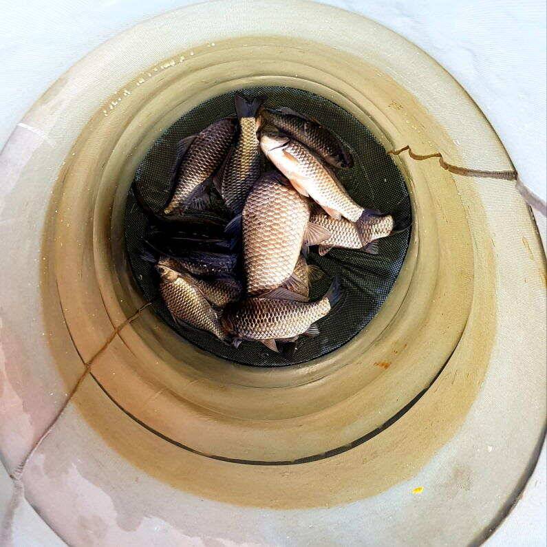대물에 마릿수 까지 좋습니다 (유료터정보 - 유료터점주조황)