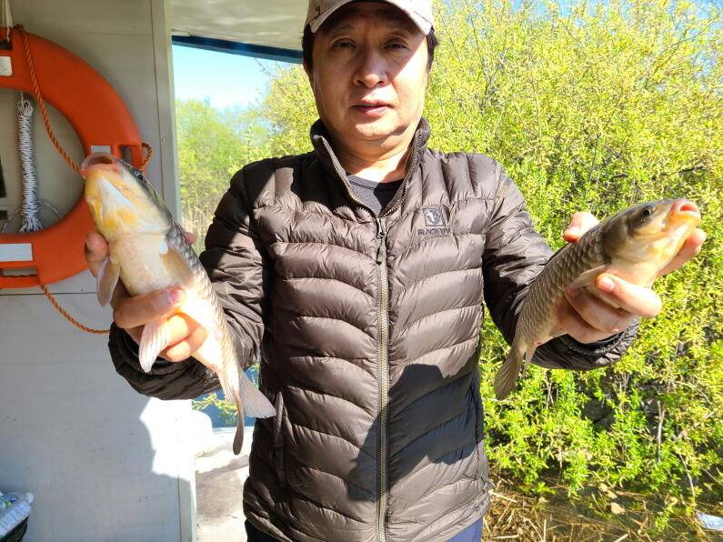 마릿수의 손맛 송전지 수원좌대 (유료터정보 - 유료터점주조황)