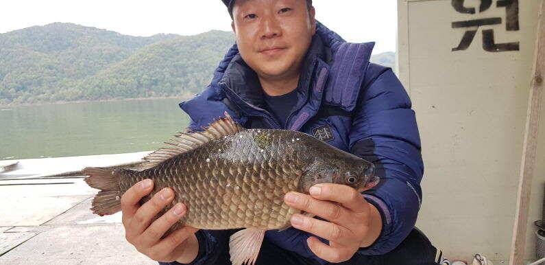 허리급 대물의 꿈틀거림 송전지 수원좌대 (유료터정보 - 유료터점주조황)